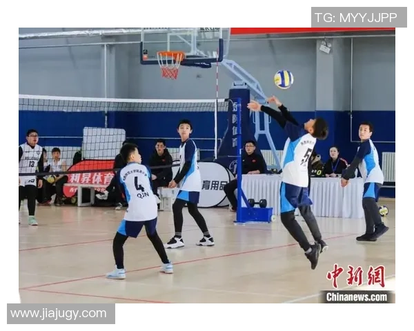 足球与篮球球星粉丝群体文化碰撞与热情互动观察