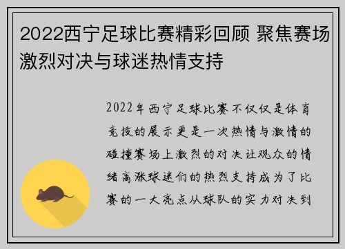 2022西宁足球比赛精彩回顾 聚焦赛场激烈对决与球迷热情支持