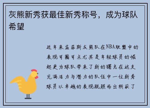 灰熊新秀获最佳新秀称号，成为球队希望