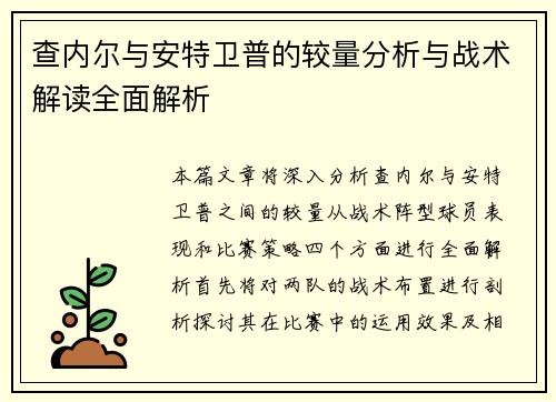 查内尔与安特卫普的较量分析与战术解读全面解析
