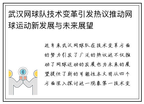 武汉网球队技术变革引发热议推动网球运动新发展与未来展望
