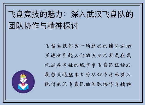 飞盘竞技的魅力：深入武汉飞盘队的团队协作与精神探讨